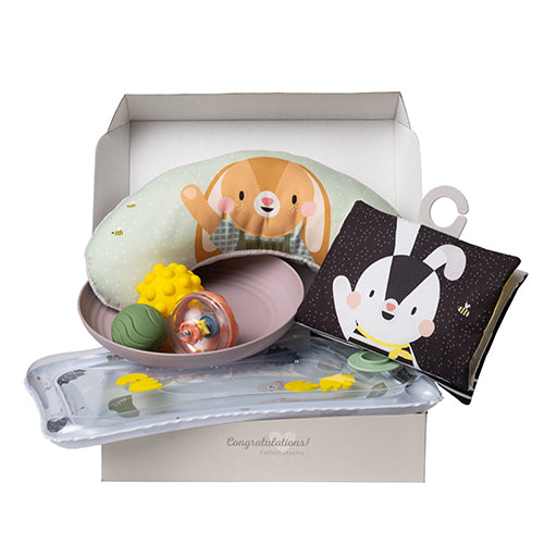 Kit Esencial para Tiempo Boca Abajo Taf Toys - foto de producto