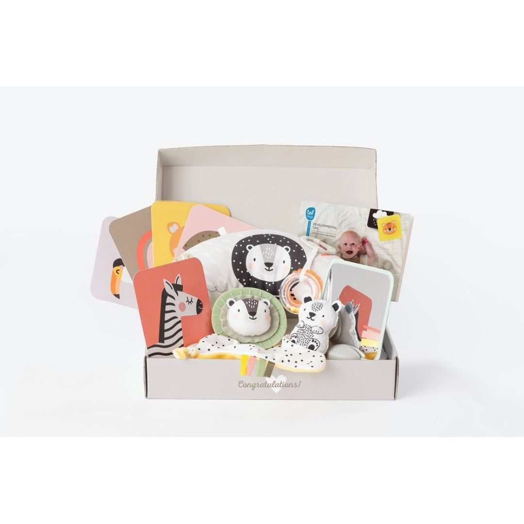 Kit de Desarrollo y Juego para Recién Nacido Taf Toys - foto de producto