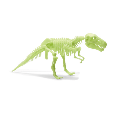 Esqueleto Dinosaurio T-Rex Luminoso Brainstorm