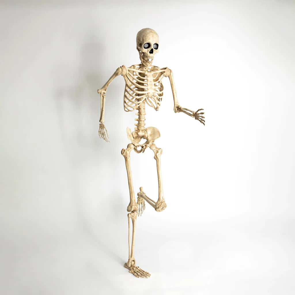 Esqueleto Ojos LED Frank & Mortis 165 cm
