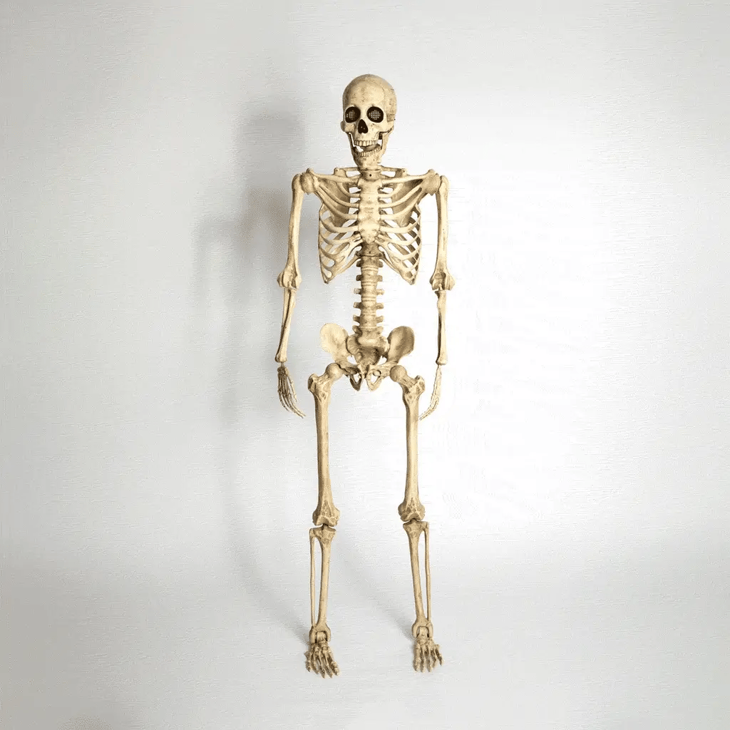 Esqueleto Ojos LED Frank & Mortis 165 cm