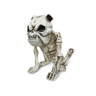 Esqueleto Bulldog Frank & Moris