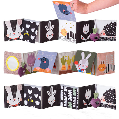 Libro de Coche Jardin Urbano Taf Toys - foto de producto