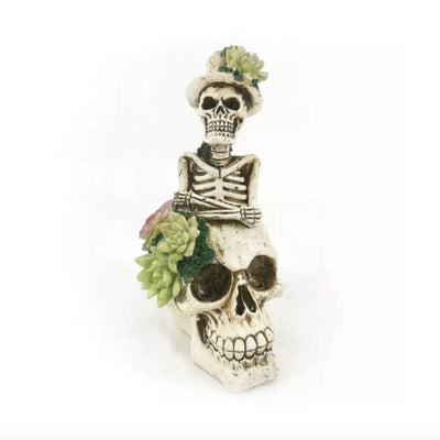 Calaveras Decorativas con Suculentas Frank and Mortis