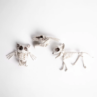 Bolsa con Mini Esqueletos Frank and Mortis