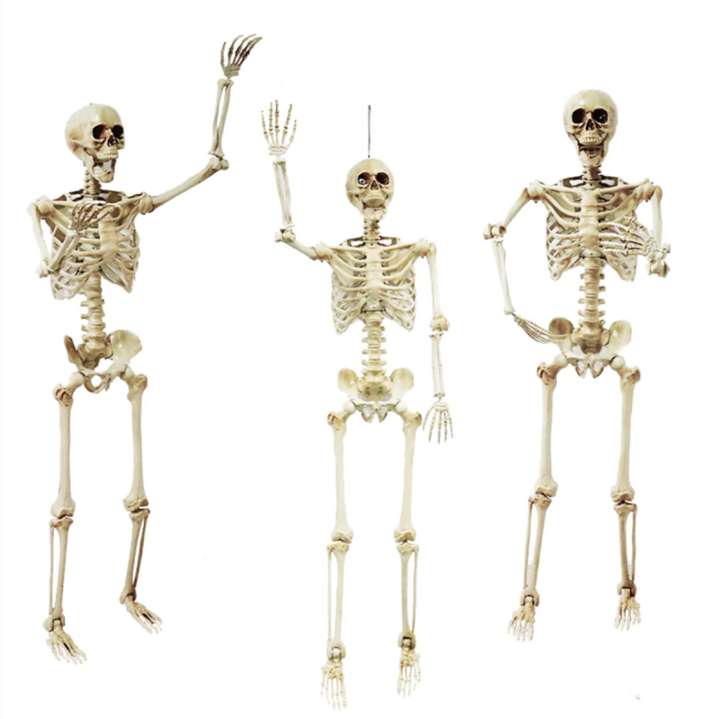 Esqueleto Tamaño Real Frank and Mortis