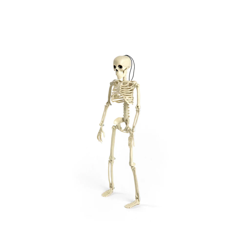Esqueleto Colgante Frank & Mortis 40 cm