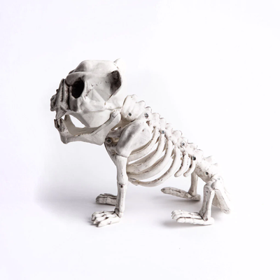 Esqueleto de Perro Bulldog Frank and Mortis