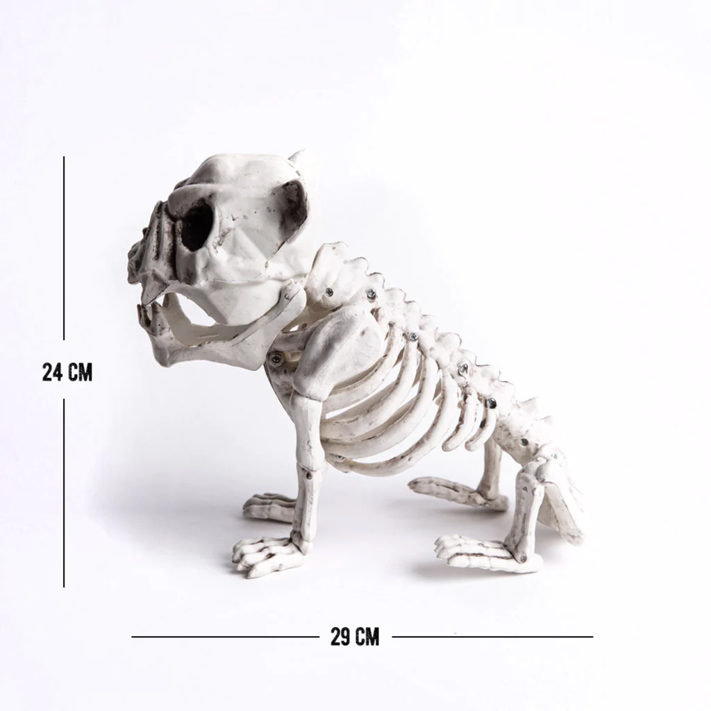 Esqueleto de Perro Bulldog Frank and Mortis