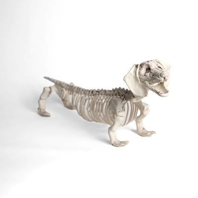 Esqueleto Perro Salchicha Frank & Mortis