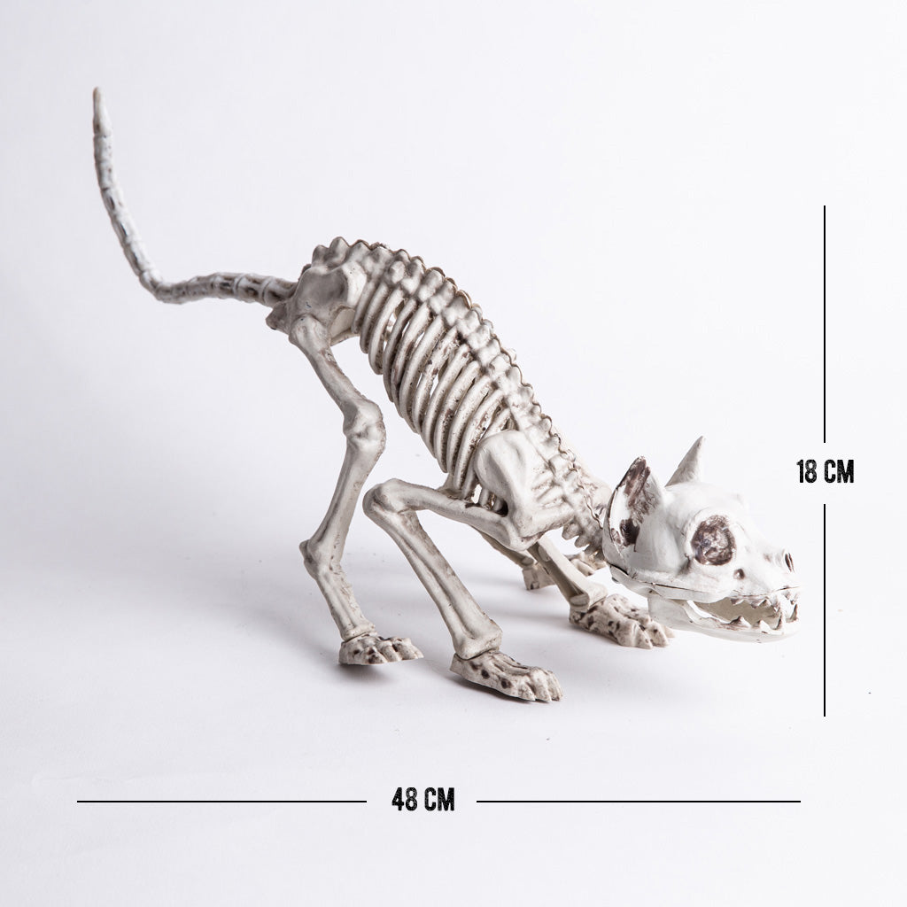 Esqueleto de Gato Fran and Mortis